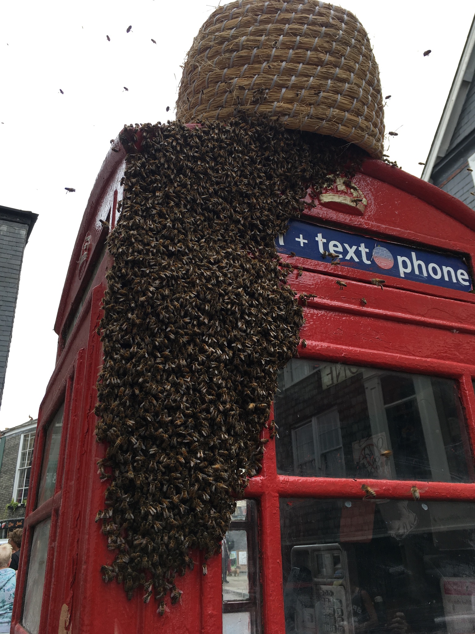 A Big Swarm
